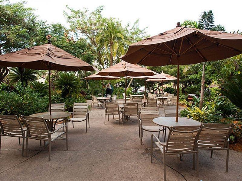 Disney'S Polynesian Village Resort Орландо Экстерьер фото