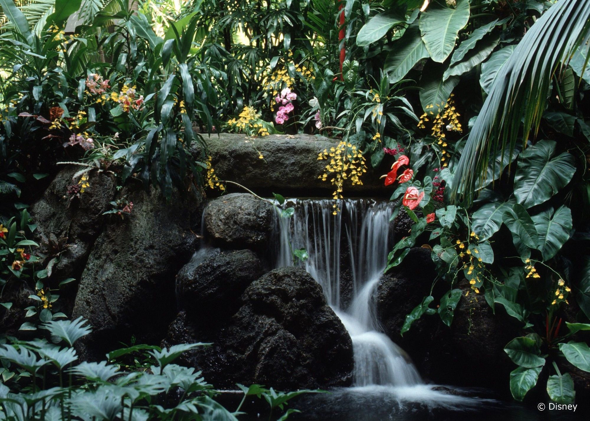 Disney'S Polynesian Village Resort Орландо Экстерьер фото